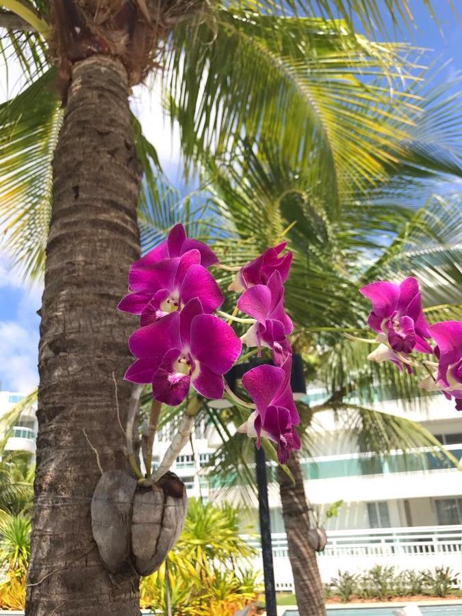 Pium de Cima In Mare Bali Residencial Resort מראה חיצוני תמונה